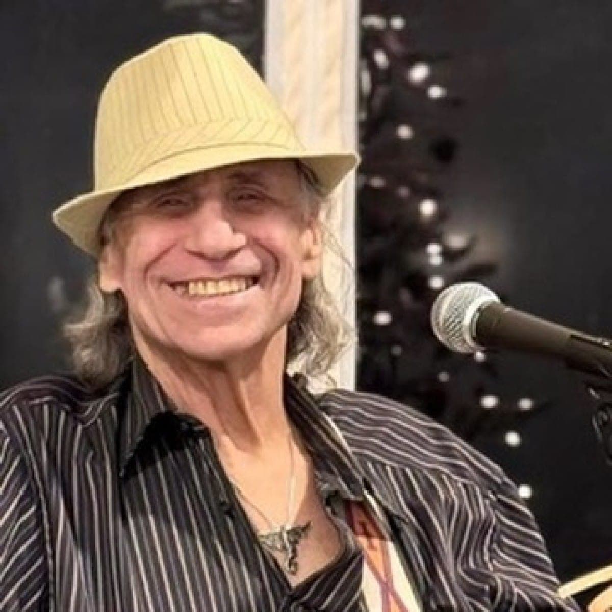 Mike Folk, Singer/Guitarist