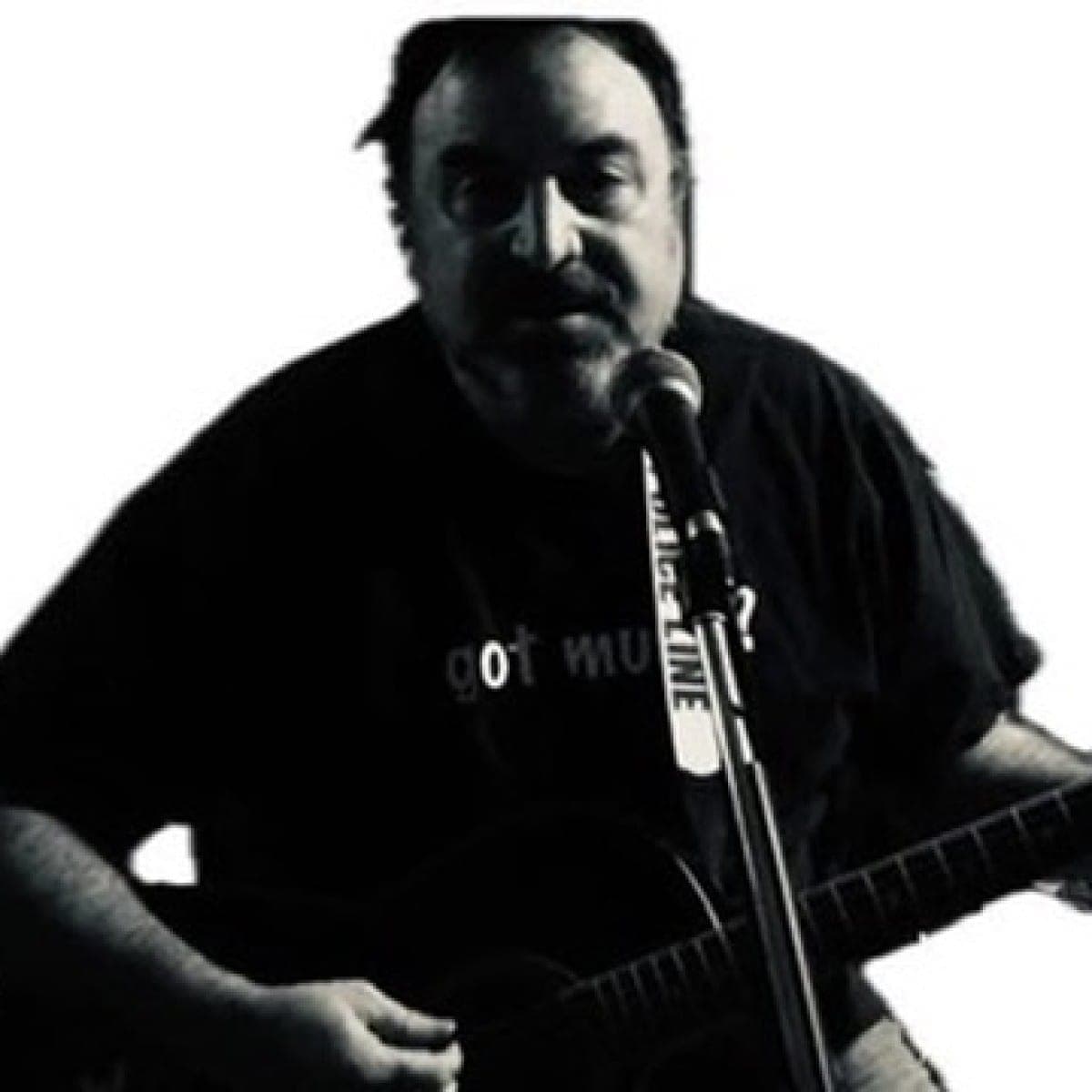Steve Flocco, Singer/Guitarist